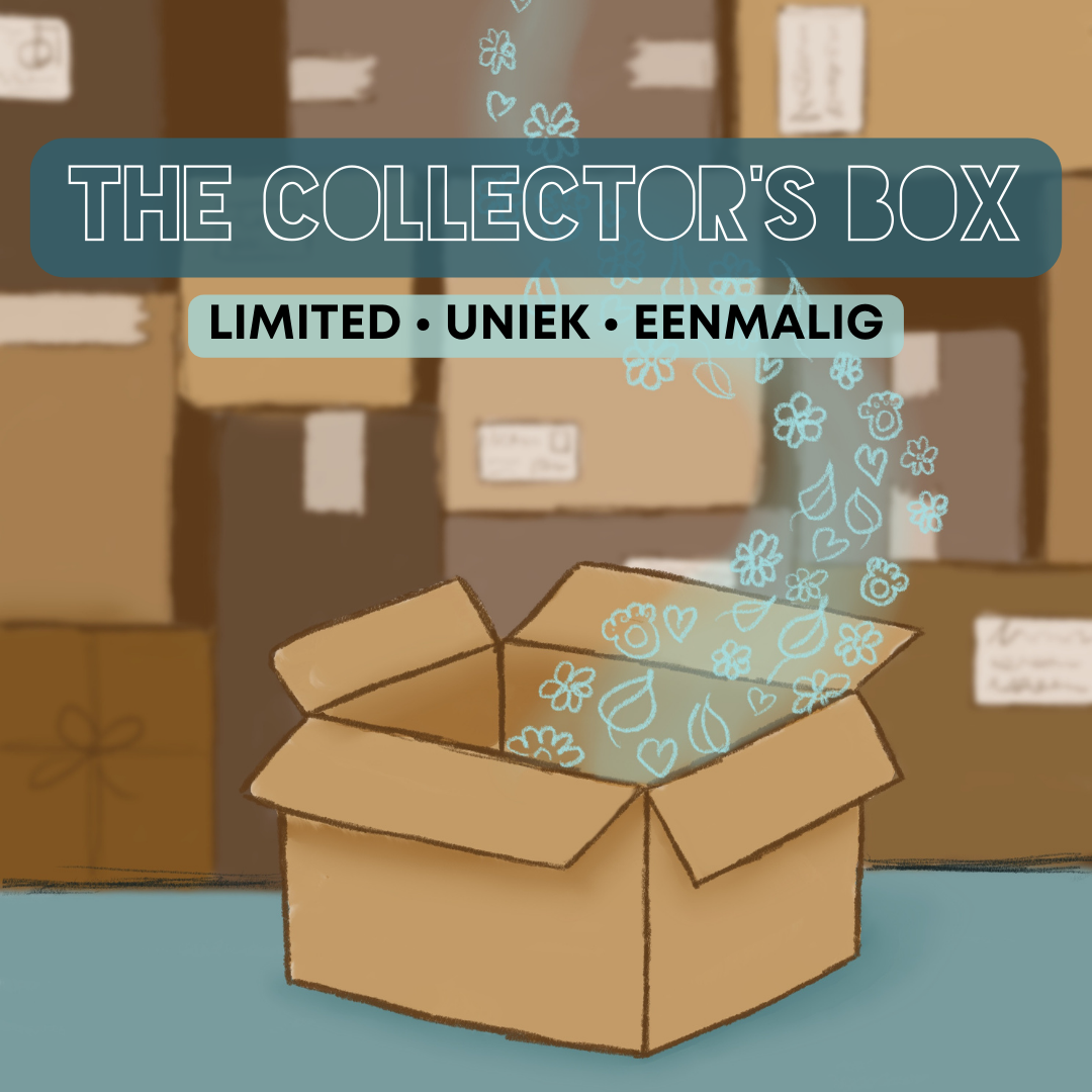 Curious Company - The Collector's Box